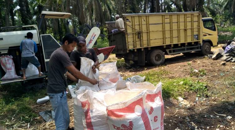 Banten Masuki Musim Panen Padi dan Jagung